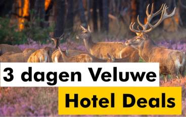 3 dagen Veluwe hotel deals